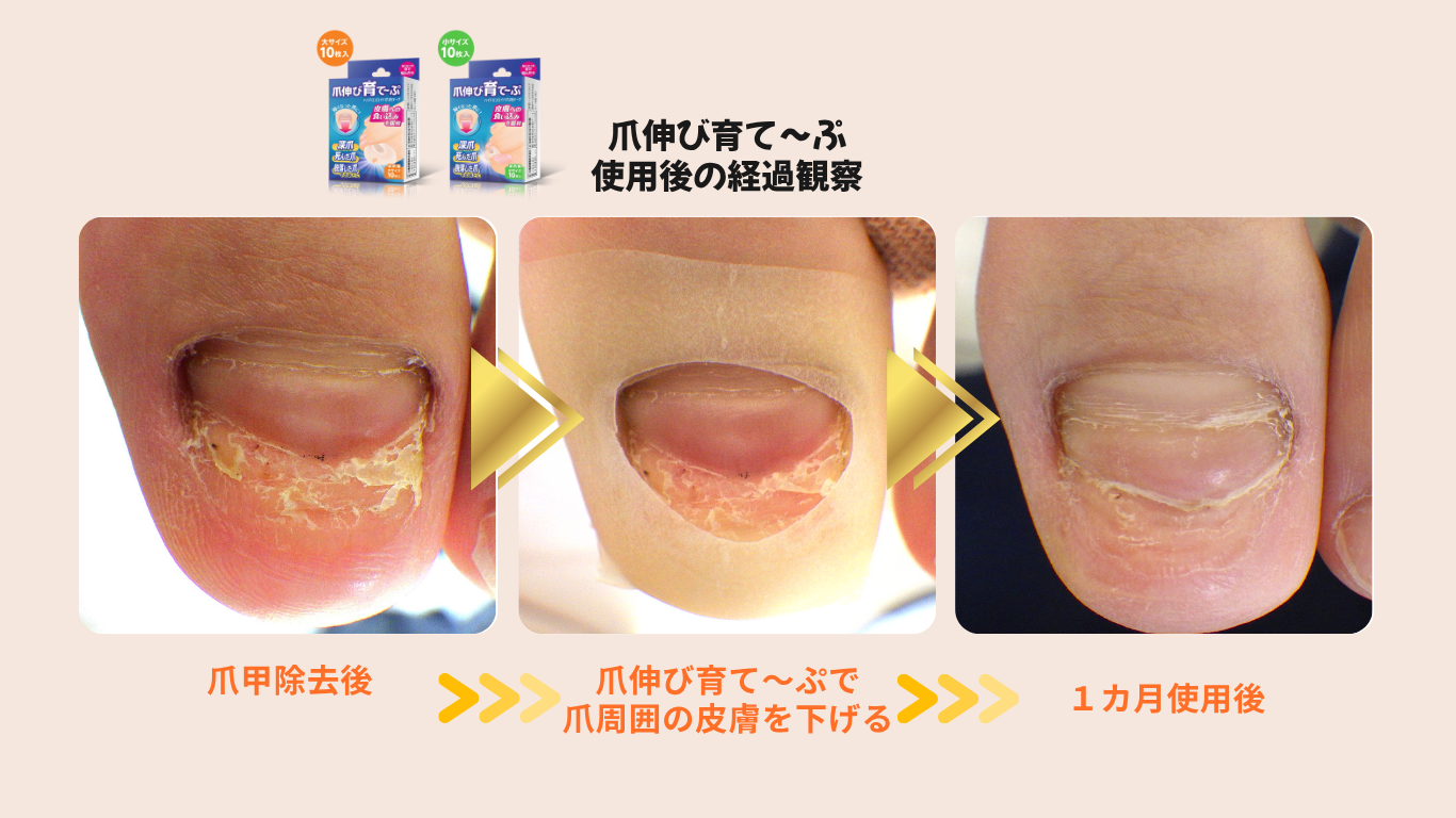 使用例イメージ