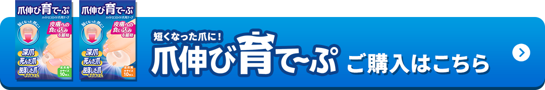 今すぐ購入するボタン