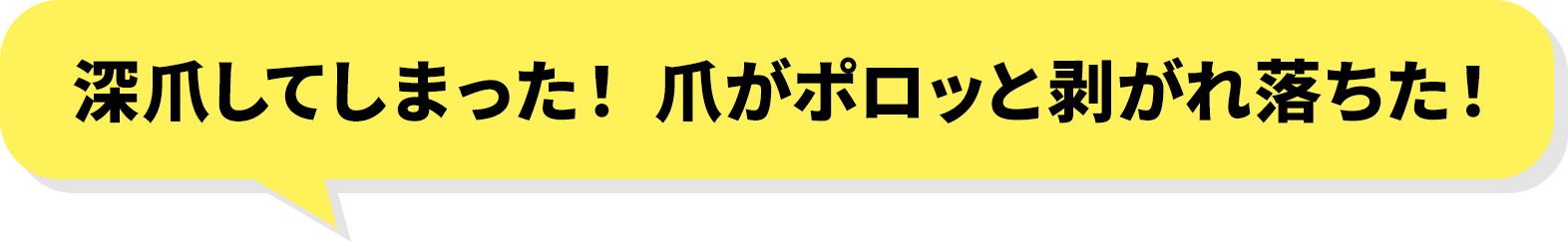 今がチャンスの訴求バナー